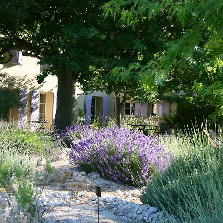 Couleur Lavande Le Thor Exterior photo